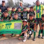 CATEGORIA 2015 CLU LA FEDERACION