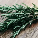 para_qux_es_el_romero_abajo_de_la_almohada.png_360689307