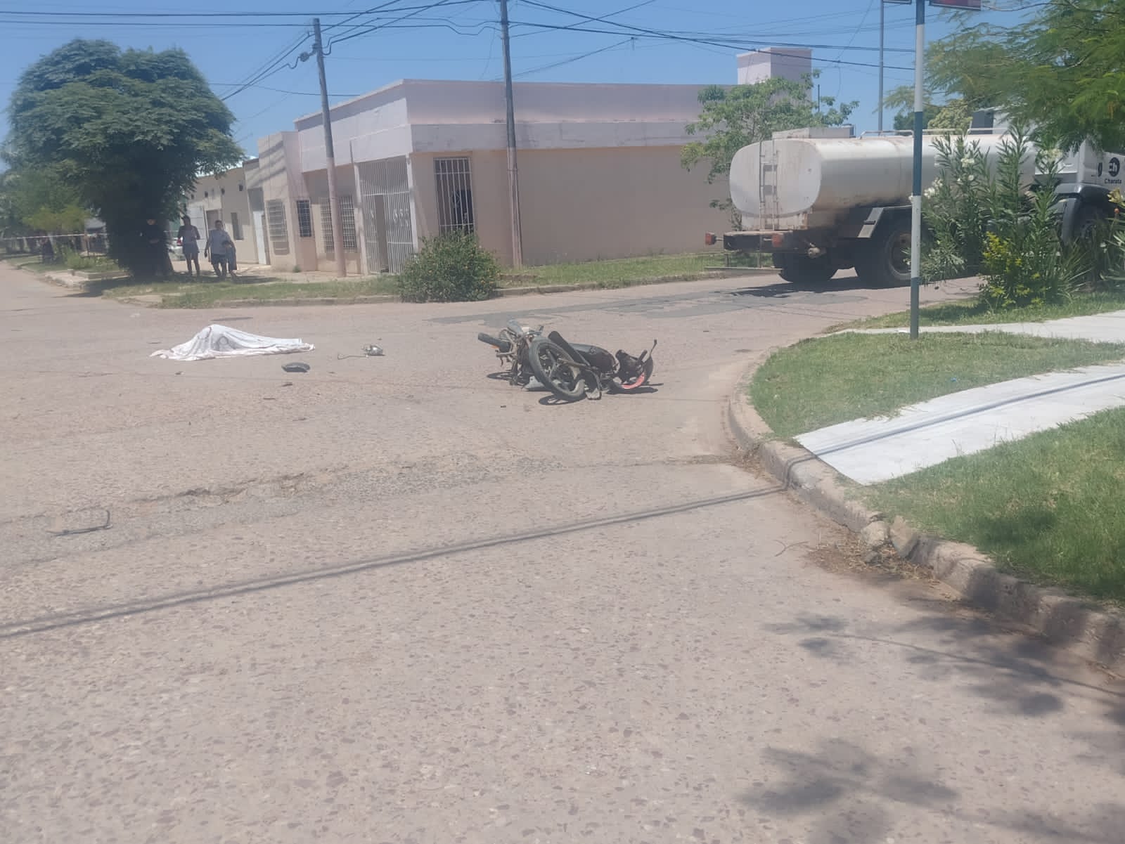 migue 1