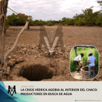 Agregar un subtítulo (6)