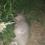 498015496_671176285746572_928097294057650191_n