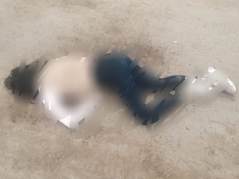 514008314_703159312548269_2568710051858299238_n