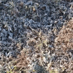 Captura de pantalla 2025-06-25 000633