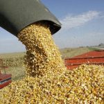 63d1adedd9773_837_627