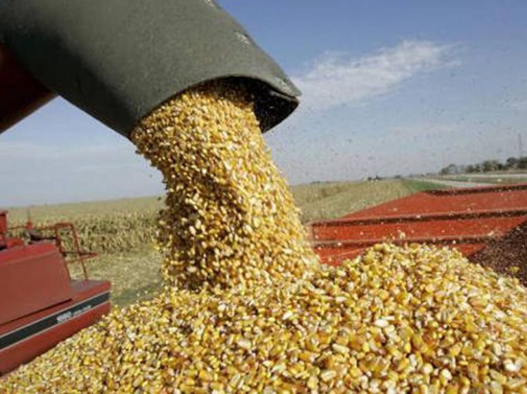 63d1adedd9773_837_627