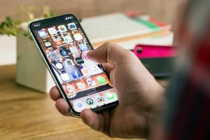 00wc_declutter-slide-YUJU-articleLarge