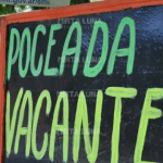 ENTREVISTA CON JONAS EL NIÑO Y SU CABALLO PETISO