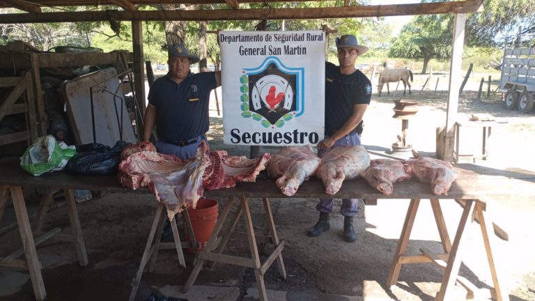 WhatsApp Image 2026-03-27 at 5.10.13 PM (1)