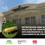SITIO WEB (1200 x 630 px)