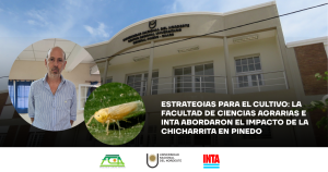 SITIO WEB (1200 x 630 px)