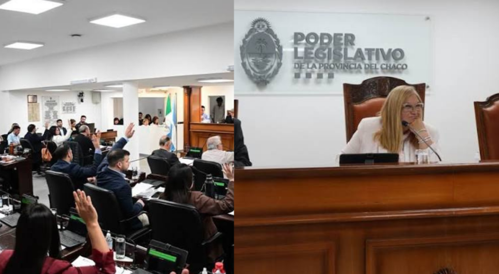La Legislatura del Chaco aprobó la ley para la Semana Provincial de Prevención del Suicidio